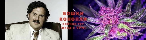 прущие крисы Куйбышев